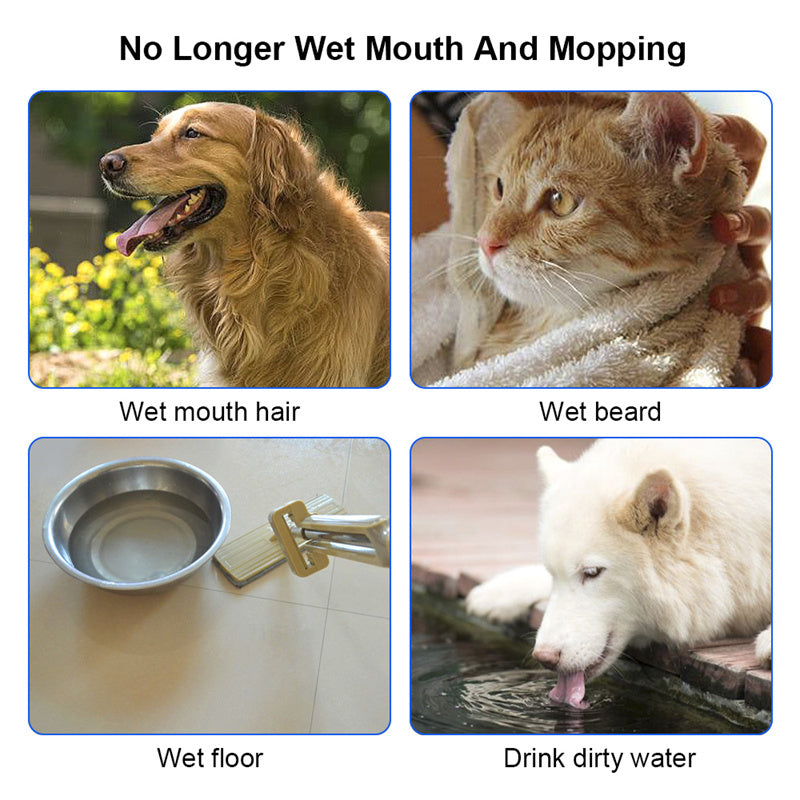 Pet Water Bowl β Anti-Spill Floating for Dogs & Cats