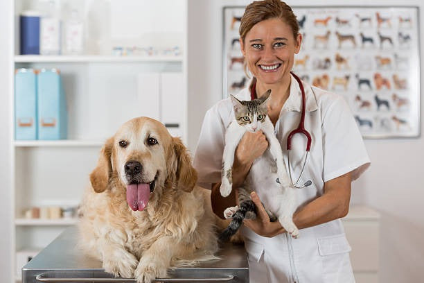 files/istockphoto-485129330-612x612-1.jpg
